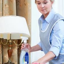 поможем найти работу домработницей - Домработница на 1 день, село Музычи